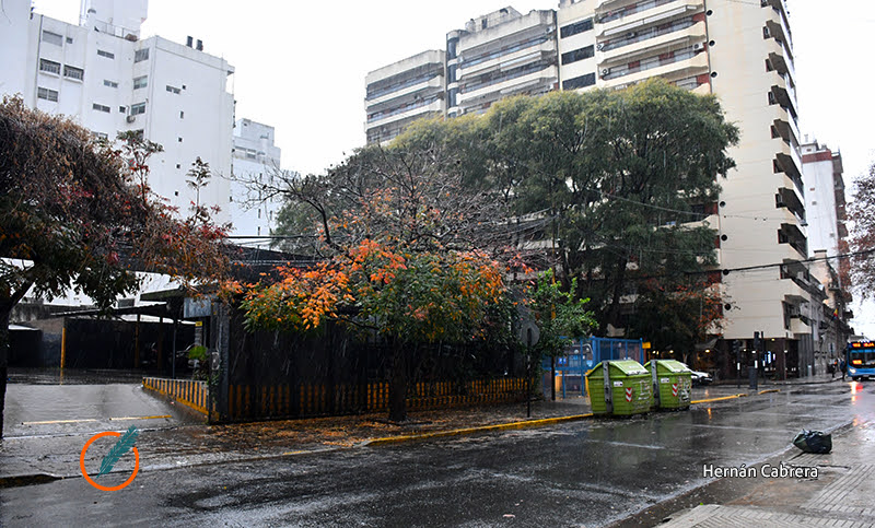 El clima en Rosario: domingo pasado por agua