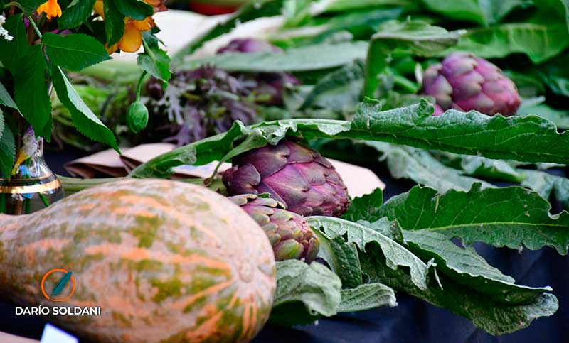 Rosario celebra a la agricultura urbana: habrá una gran feria y talleres en Oroño y el río