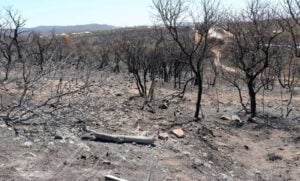 Continúan algunos focos activos y persiste el riesgo extremo de incendios en Córdoba