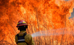 Incendios en Córdoba: declararon la emergencia ambiental por 180 días