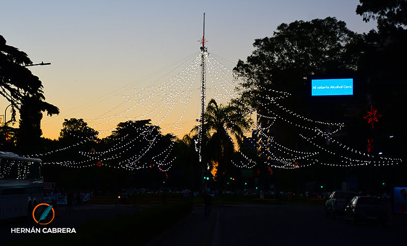 Se viene el tradicional encendido del arbolito de Navidad