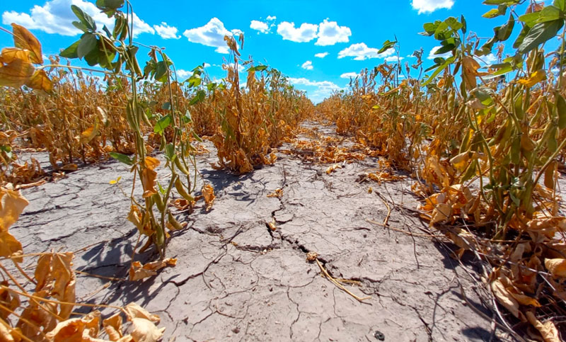 El Ministerio de Economía declaró la emergencia agropecuaria por sequía para Santa Fe